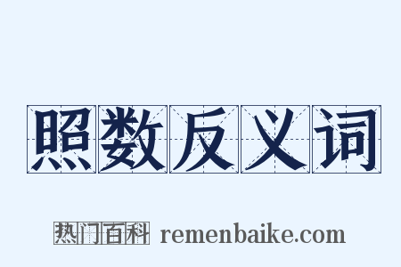 照数反义词是什么意思的图片